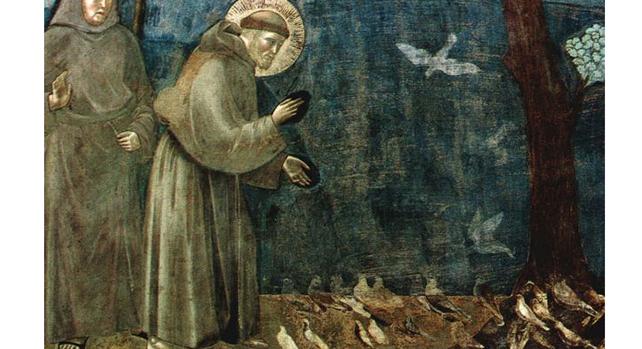 Santi E Animali Tra Storie E Leggende San Francesco
